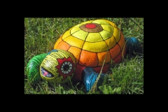 Schildkroete