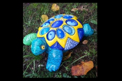 schmucke-Schildkroete